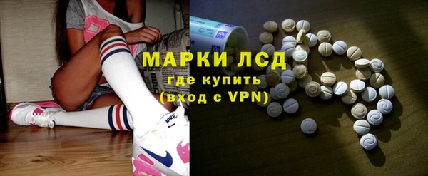 шишки Абаза