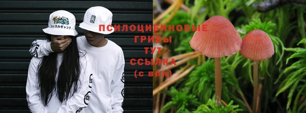 МДПВ Абдулино