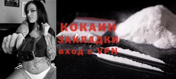шишки Абаза