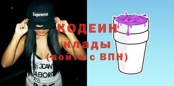 шишки Абаза
