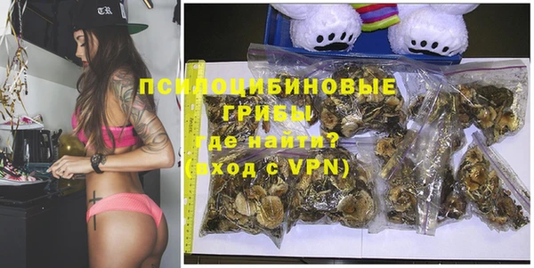 стафф Абинск