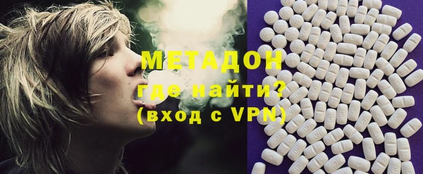 шишки Абаза