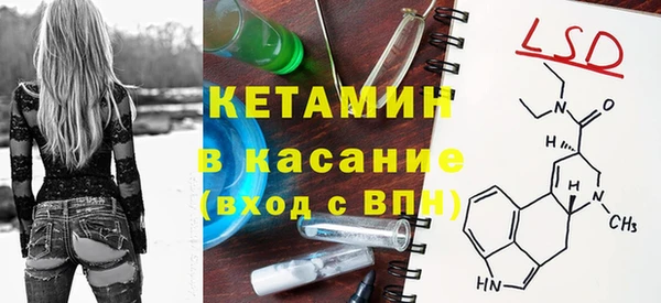 шишки Абаза