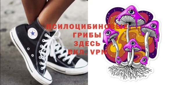 шишки Абаза