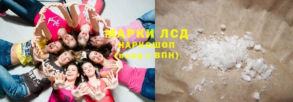 шишки Абаза