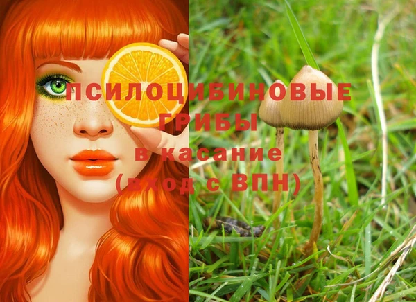 стафф Абинск