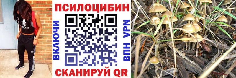 Псилоцибиновые грибы GOLDEN TEACHER  Нижнекамск 